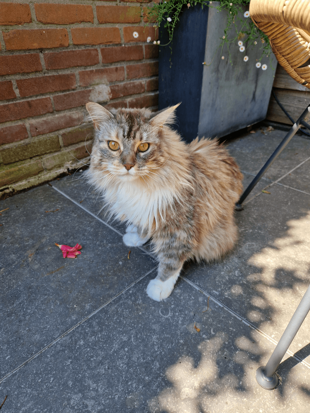 Foto van Elka