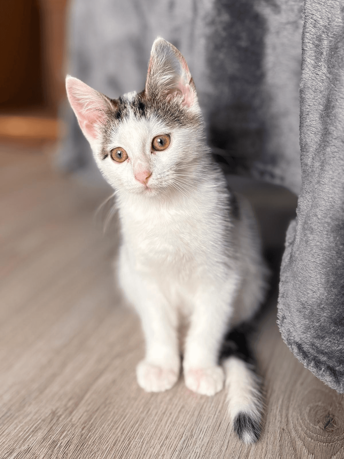 Foto van Frida