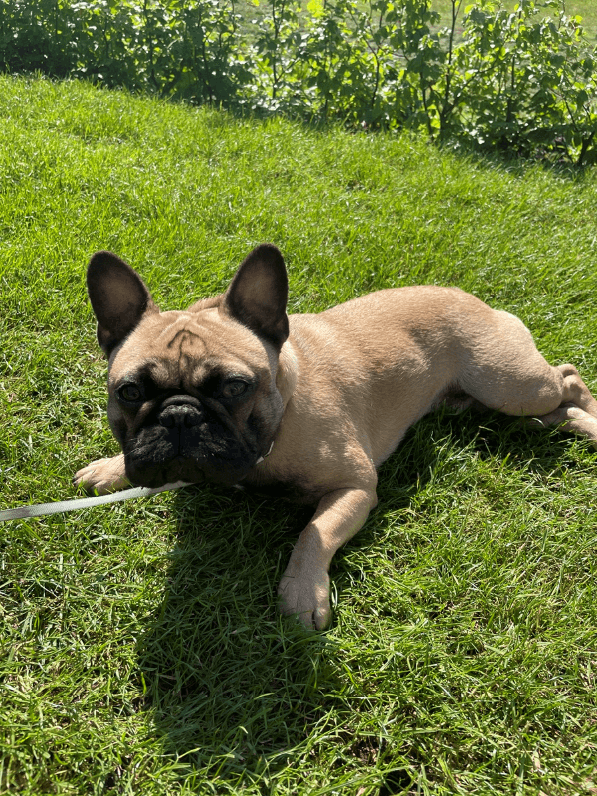 Foto van Guus